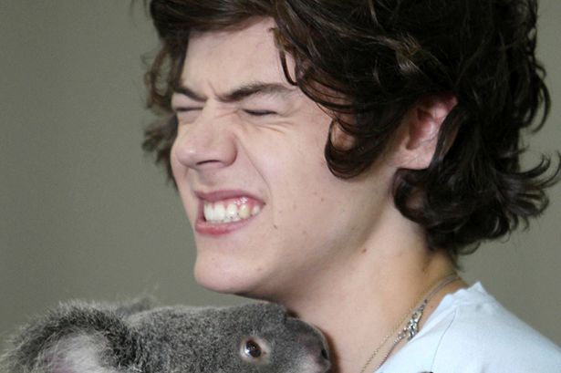 One Direction's Most Bizarre Expressions