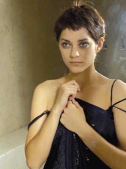 The Top 15 Hollywood Pixie Cuts Gallery